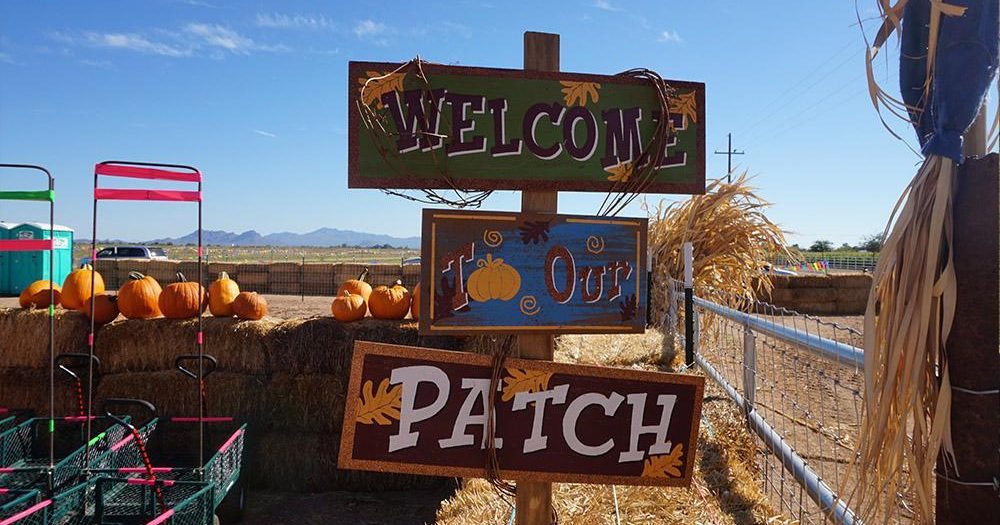 Marana Pumpkin Patch 2024 Tickets Sada Wilona